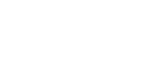 Grenzkontrolle Webseite